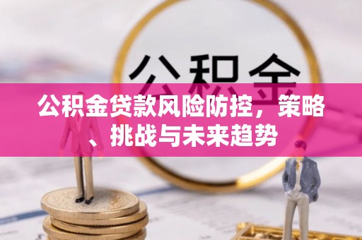 涉县公积金贷款风险防控，策略、挑战与未来趋势