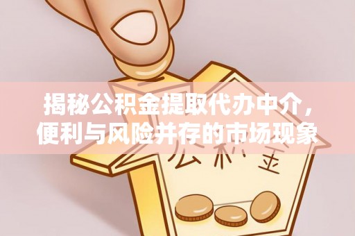 涉县揭秘公积金提取代办中介，便利与风险并存的市场现象
