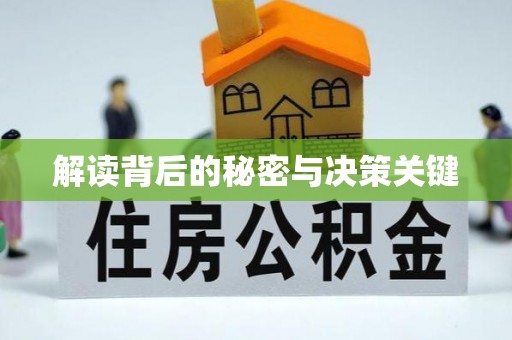 涉县解读背后的秘密与决策关键