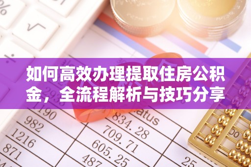 涉县如何高效办理提取住房公积金，全流程解析与技巧分享