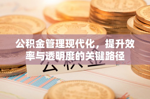 涉县公积金管理现代化，提升效率与透明度的关键路径